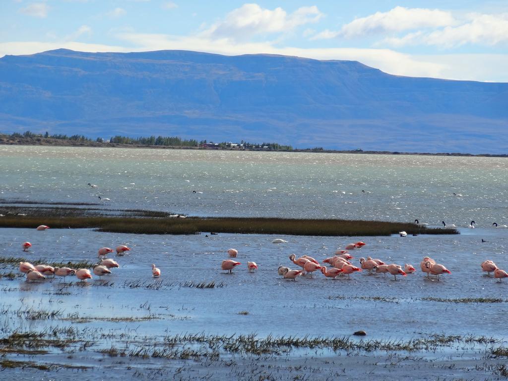 Hosteria Los Hielos El Calafate Eksteriør billede